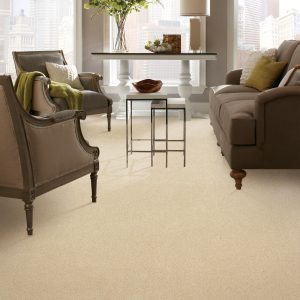 Carpeting | Warnike Carpet & Tile