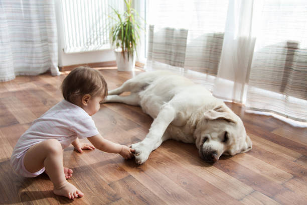Baby with dog