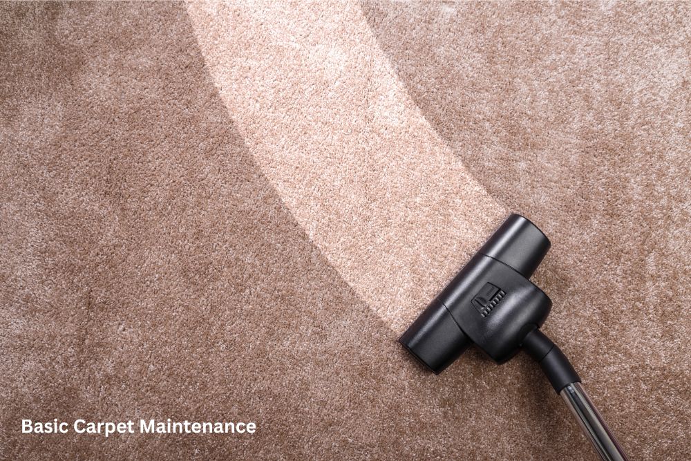 Carpet cleaning | Warnike Carpet & Tile