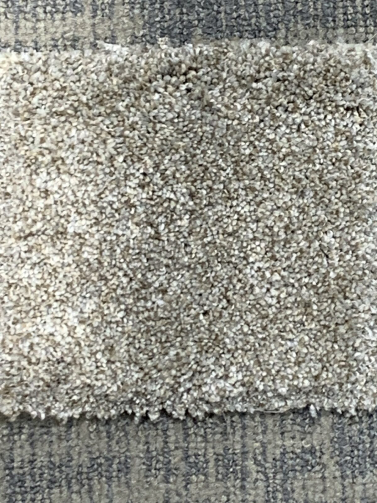 ironfrostcarpet ironfrostcarpet