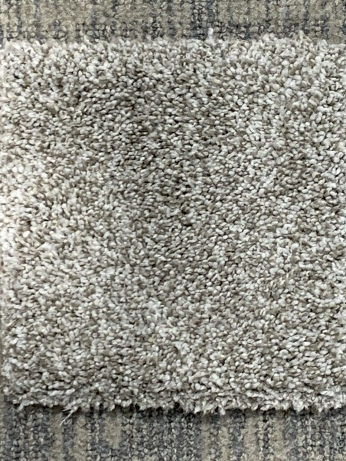 mellowcarpet mellowcarpet