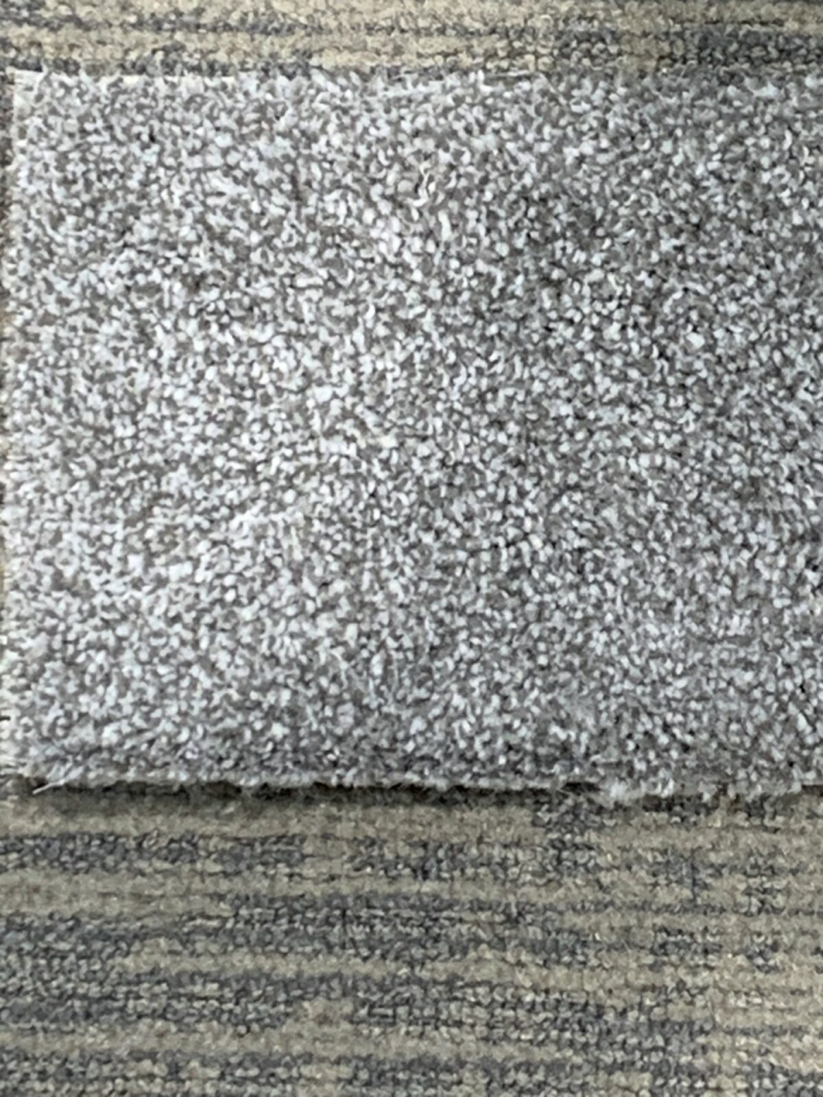 moondancecarpet moondancecarpet