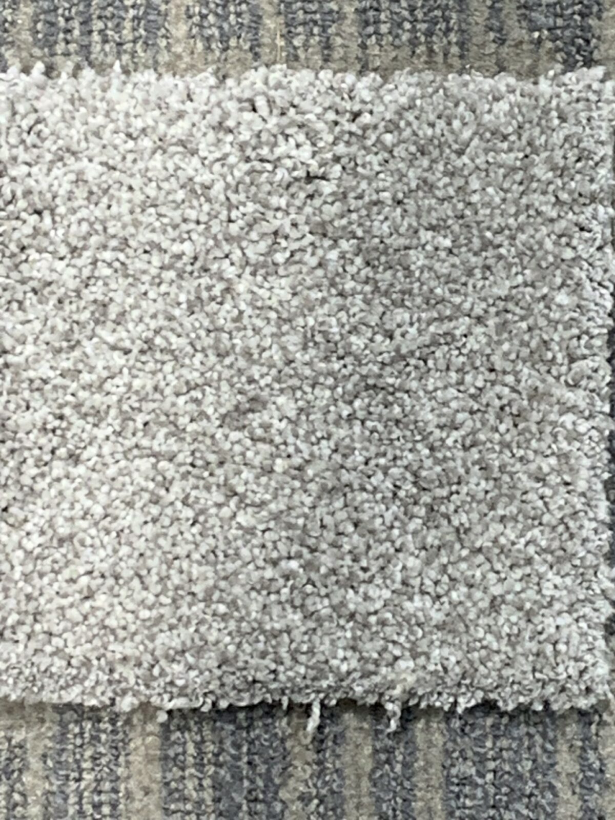 sequoia parkcarpet sequoia parkcarpet