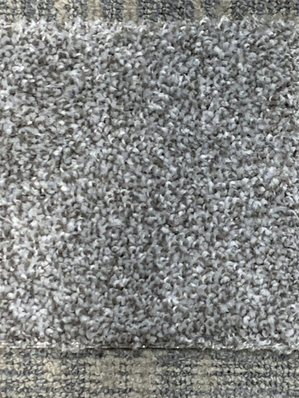 stainlesscarpet stainlesscarpet